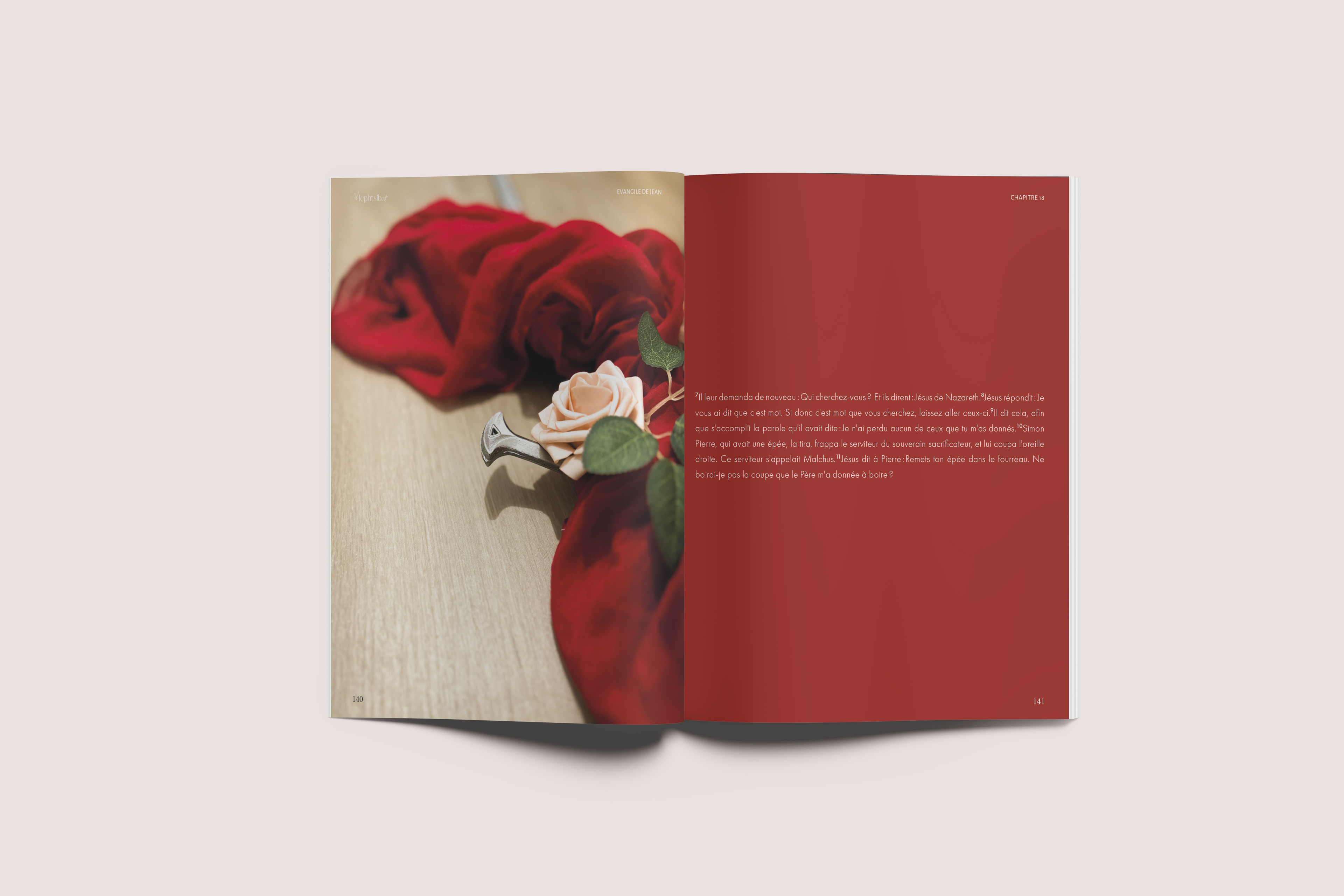 L’Évangile de Jean | Bible artistique illustrée